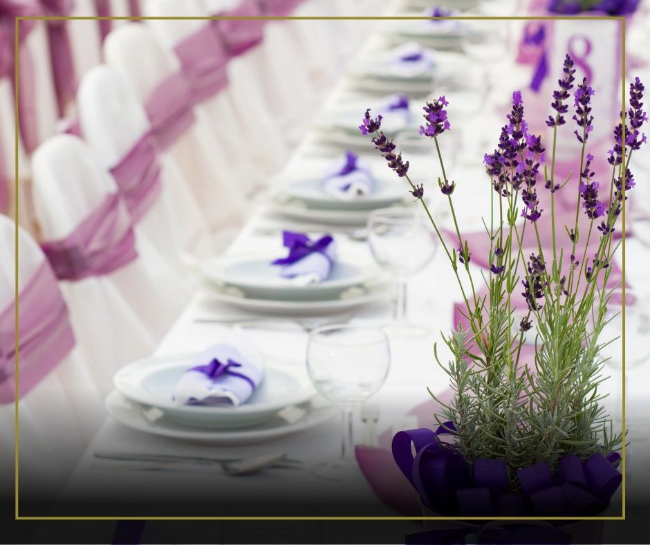 Premier Commercial Laundry Services & Industrial Laundry Solutions NW